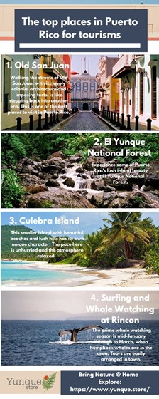 Nature Lovers:  The top places in Puerto Rico for tourisms